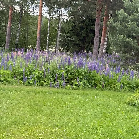 Polly, Jaala, Luxury With Private Sauna